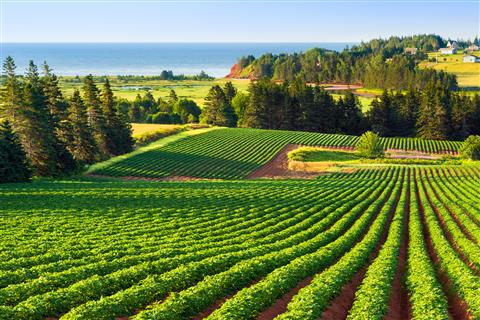 (c)Tourism PEI / Sander Meurs